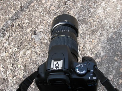 The DSLR with squirrel-hunting lens fitted.  Not fully-extended.